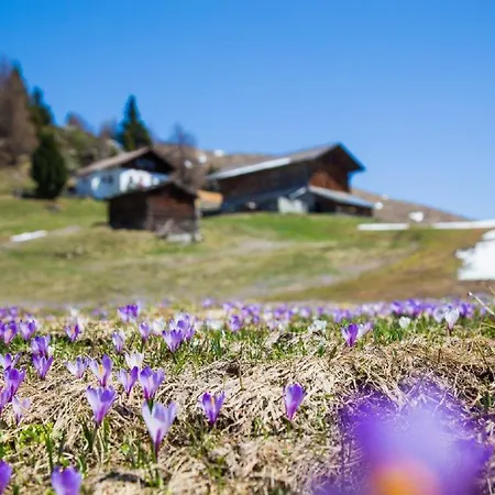Ferienhaus/chalet In Der Blaiche